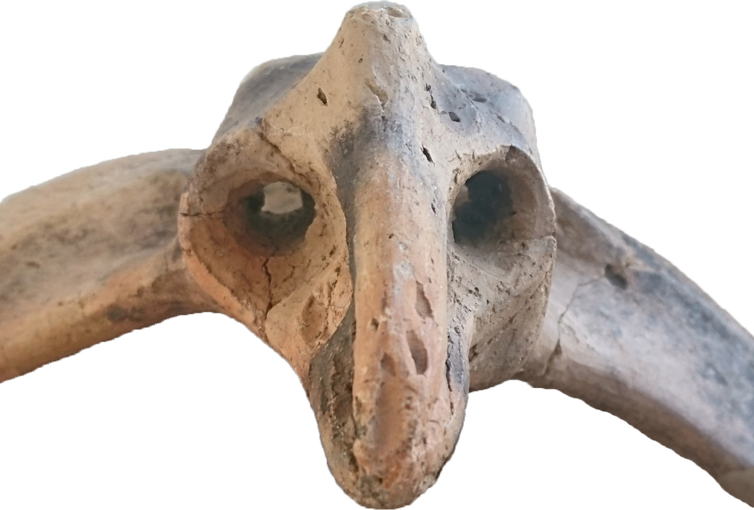 公益財団法人 群馬県埋蔵文化財調査事業団 | 04 鳥飾りの縄文土器