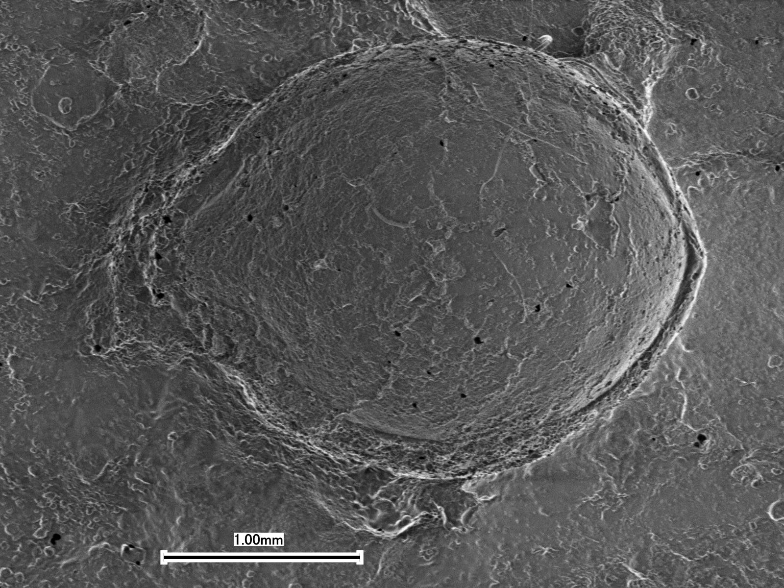 公益財団法人 群馬県埋蔵文化財調査事業団 | 【3月8日（土）】令和6